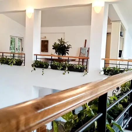 Luxury Hilltop 200m From The Beach Villa