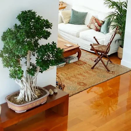 Luxury Hilltop 200m From The Beach * 佩弗奇